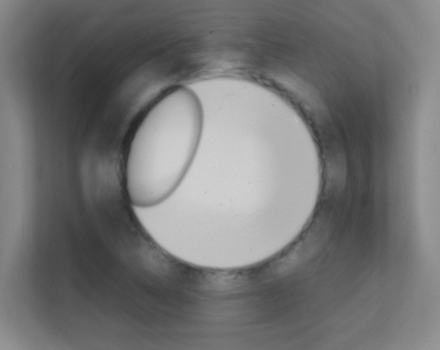 X0000113871314200909240958