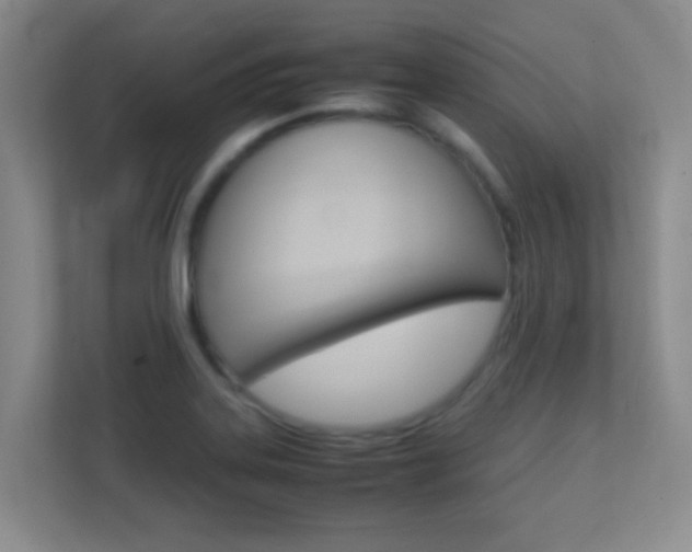 X0000113871323200909240958