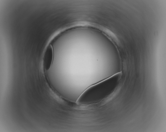 X0000113871326200909240958
