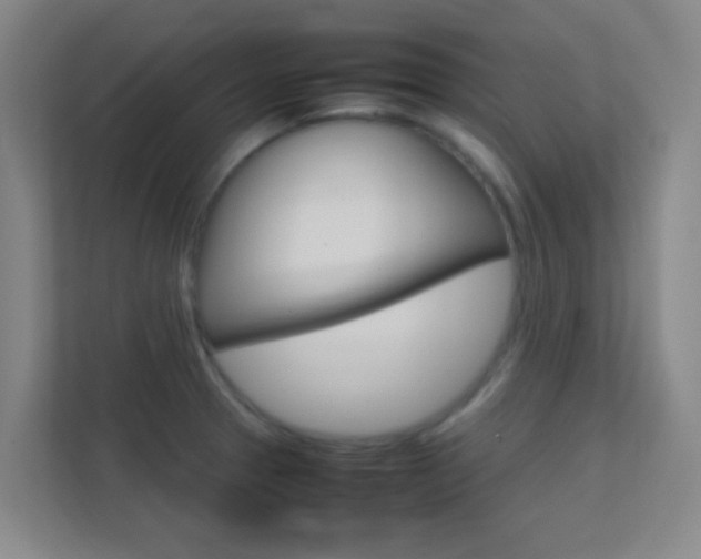 X0000113871329200909240958