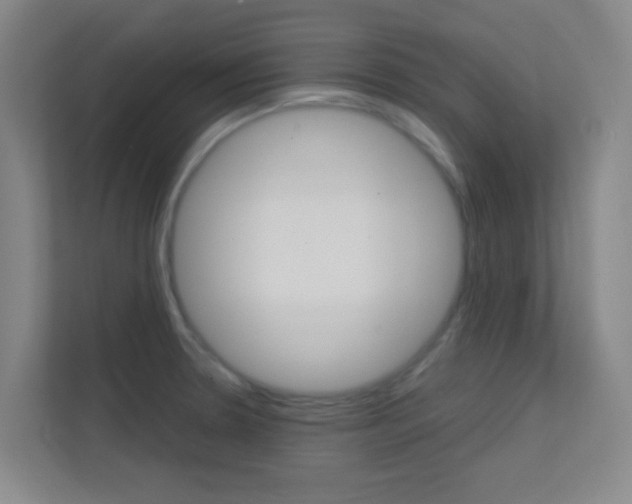 X0000113871330200909240958