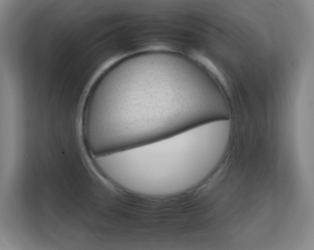X0000113871331200909240958