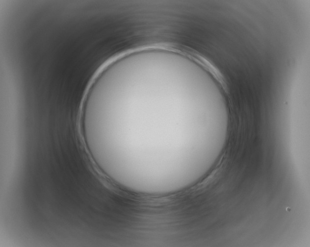 X0000113871332200909240958
