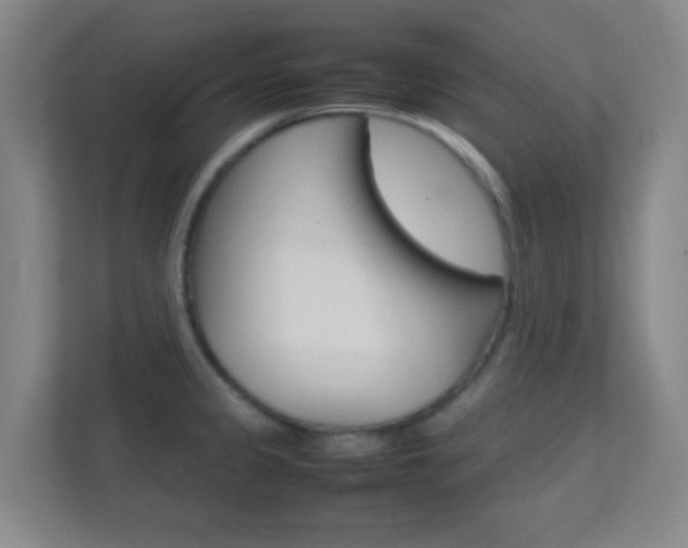 X0000113871333200909240958