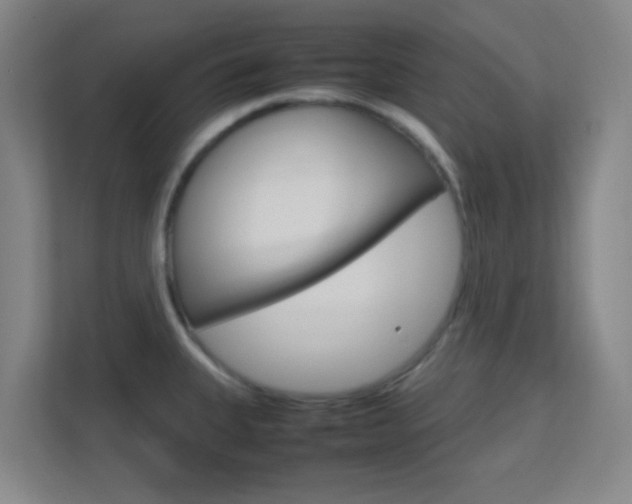 X0000113871335200909240958