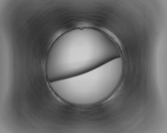 X0000113871337200909240958