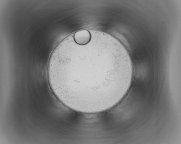 X0000113871338200909240958