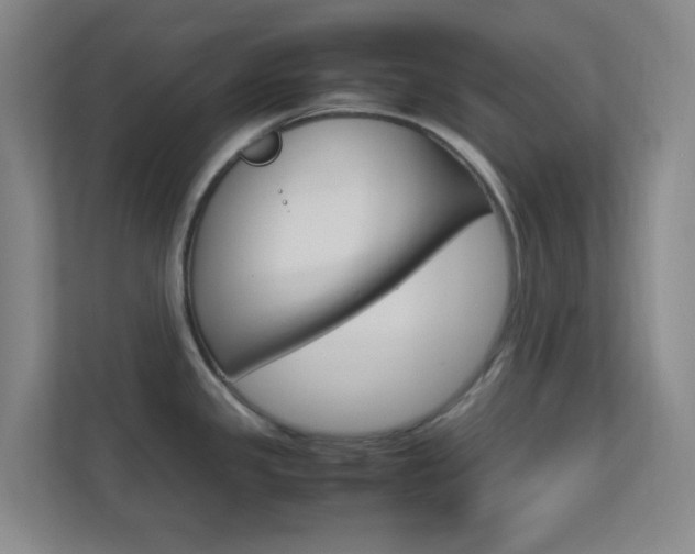 X0000113871341200909240958
