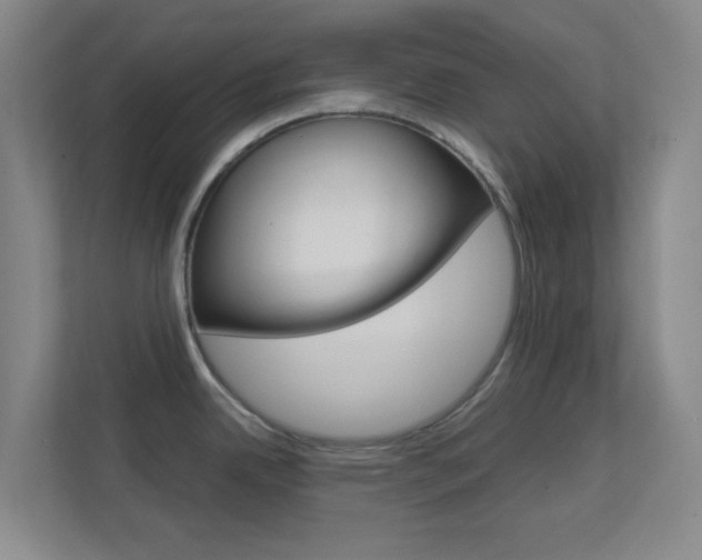X0000113871342200909240958