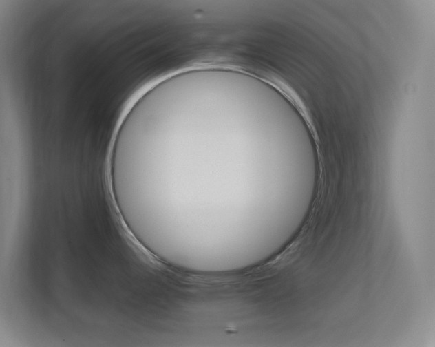 X0000113871344200909240958