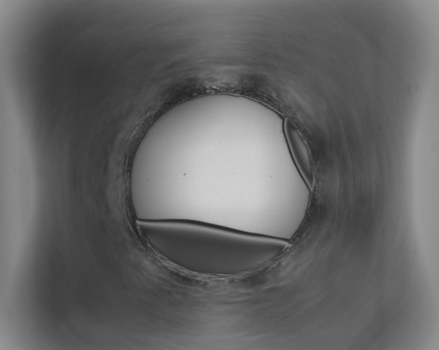 X0000113871345200909240958