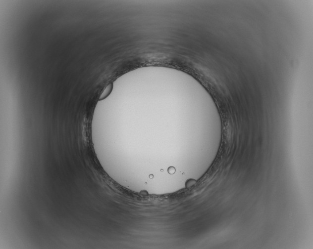 X0000113871346200909240958