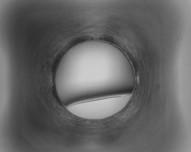 X0000113871347200909240958