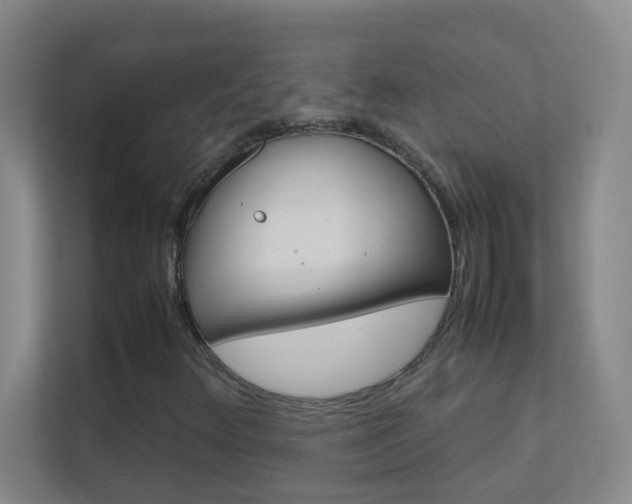 X0000113871348200909240958