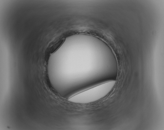 X0000113871349200909240958