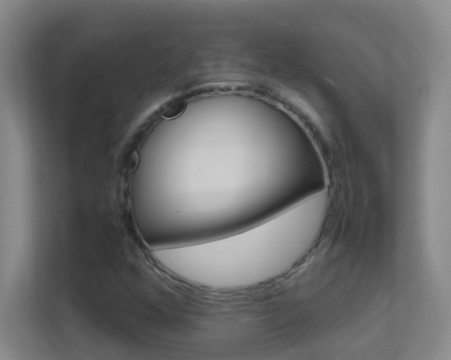 X0000113871352200909240958