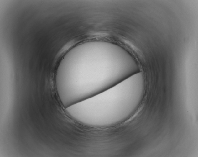 X0000113871354200909240958