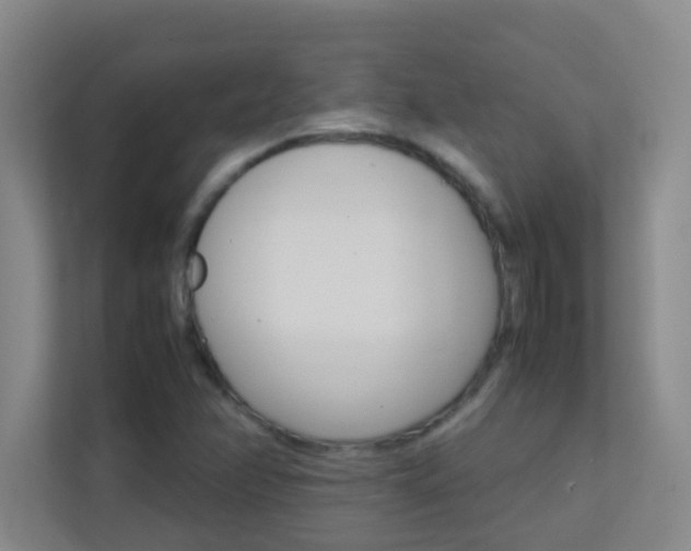 X0000113871358200909240957