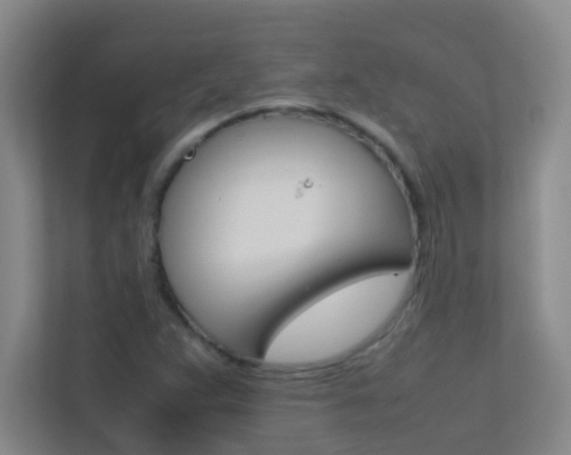 X0000113871359200909240957