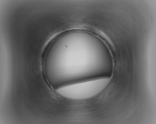 X0000113871360200909240957