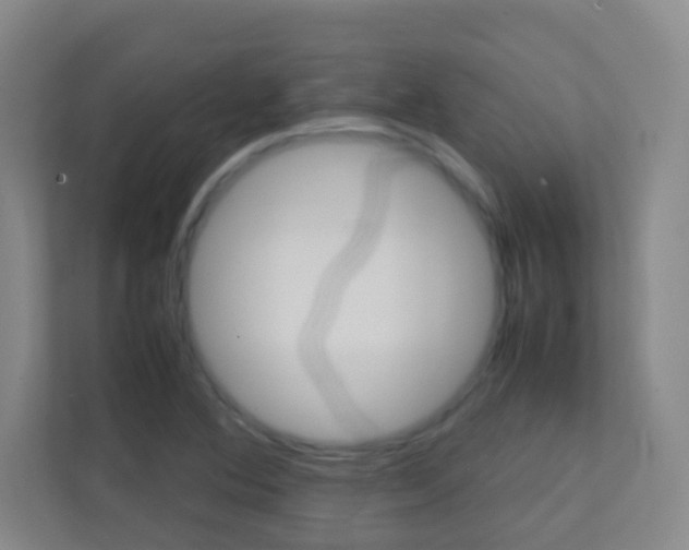 X0000113871364200909240957