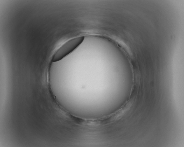 X0000113871365200909240957