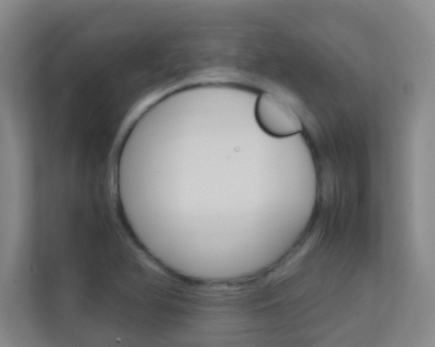 X0000113871366200909240957