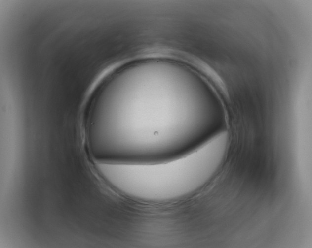 X0000113871368200909240957