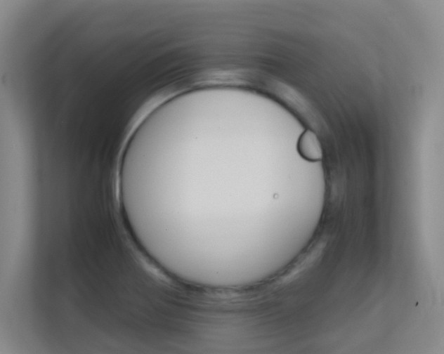 X0000113871370200909240957