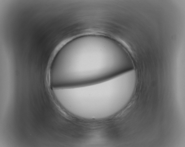 X0000113871371200909240957