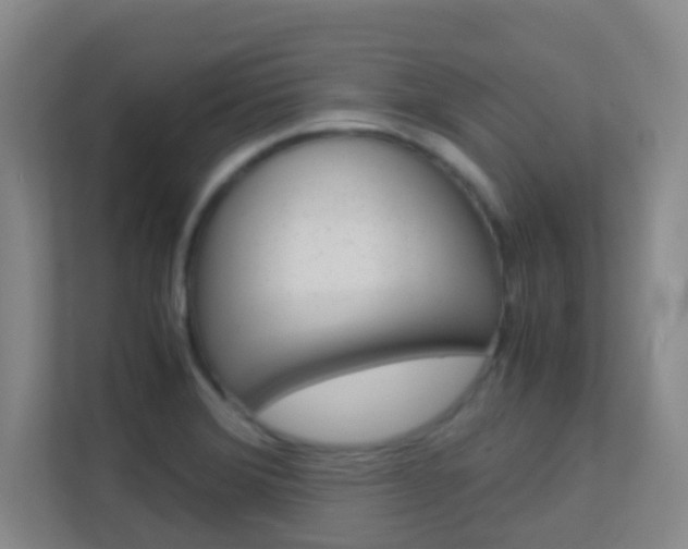 X0000113871372200909240957
