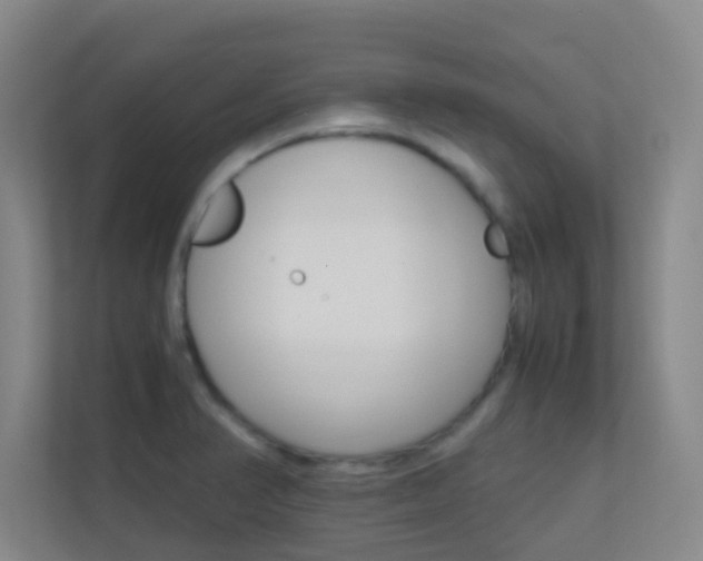 X0000113871374200909240957