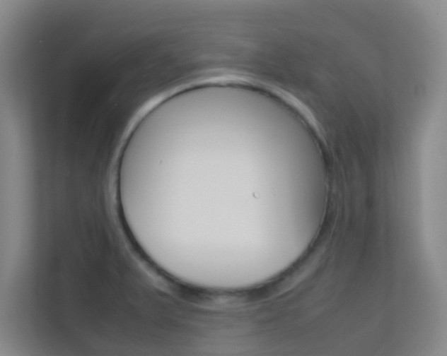 X0000113871375200909240957
