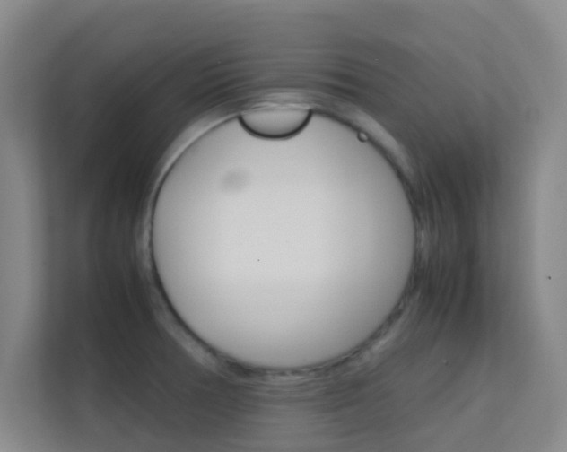 X0000113871378200909240957