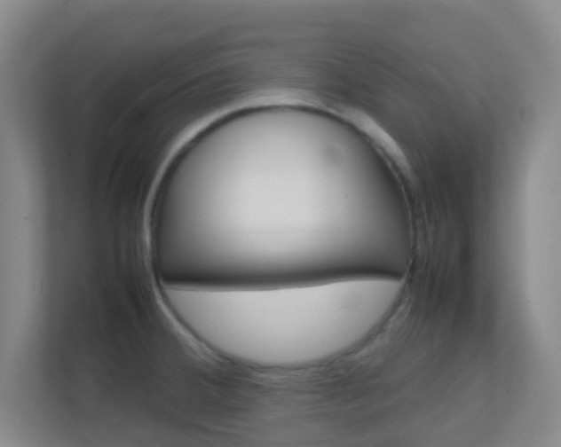 X0000113871380200909240957