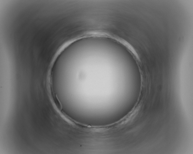 X0000113871381200909240957