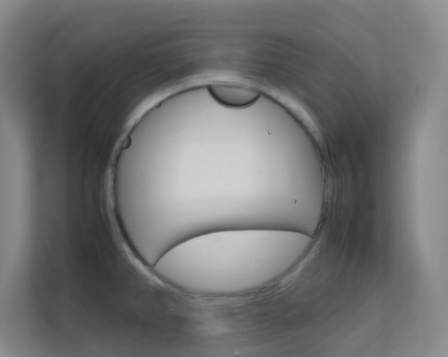 X0000113871382200909240957