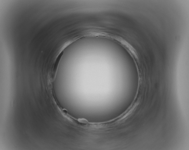 X0000113871385200909240957