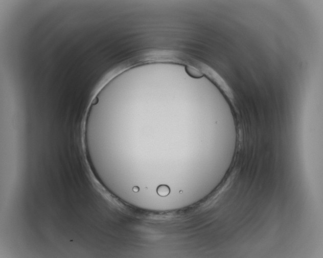 X0000113871386200909240957