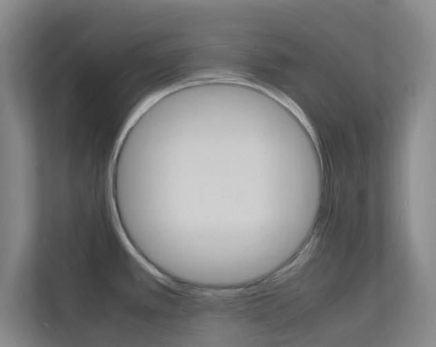 X0000113871389200909240957