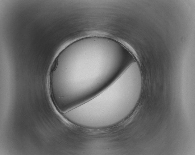 X0000113871391200909240957