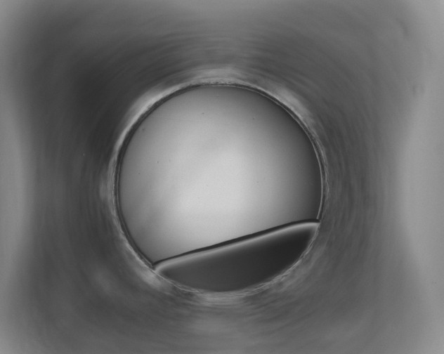 X0000113871392200909240957