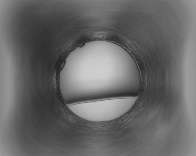 X0000113871394200909240956