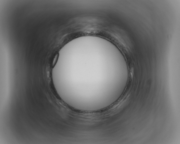 X0000113871396200909240956