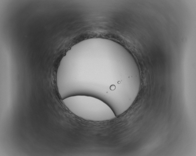 X0000113871397200909240956