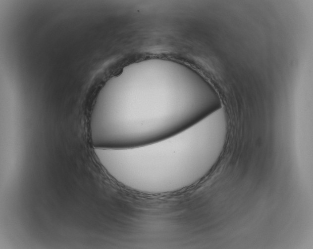X0000113871398200909240956