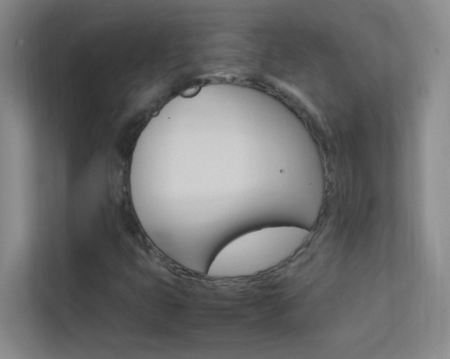 X0000113871399200909240956