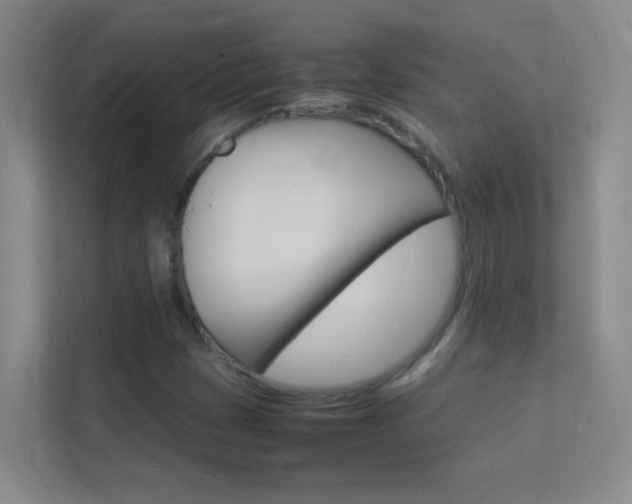 X0000113871401200909240957