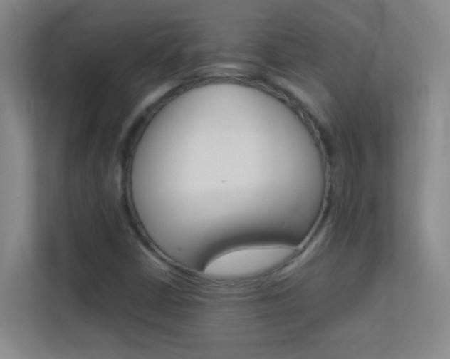 X0000113871402200909240957
