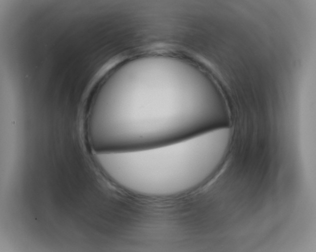 X0000113871410200909240957